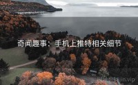 奇闻趣事：手机上推特相关细节