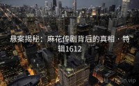悬案揭秘：麻花传剧背后的真相 · 特辑1612