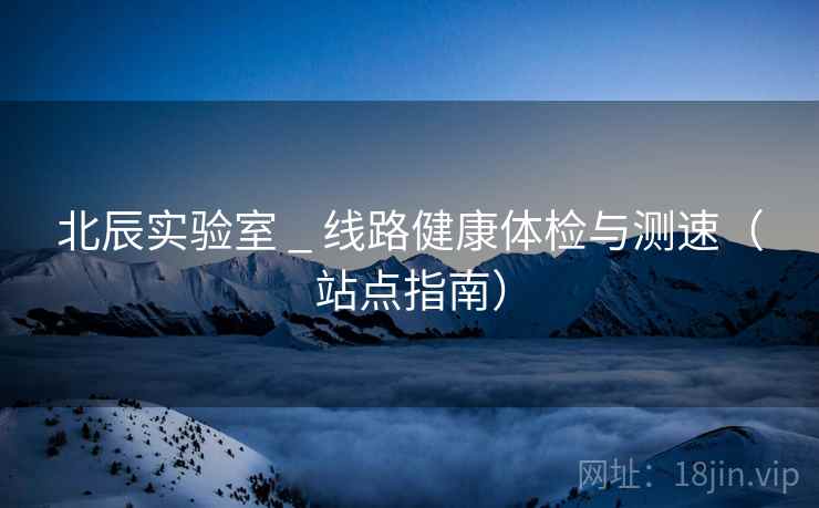 北辰实验室 _ 线路健康体检与测速（站点指南）