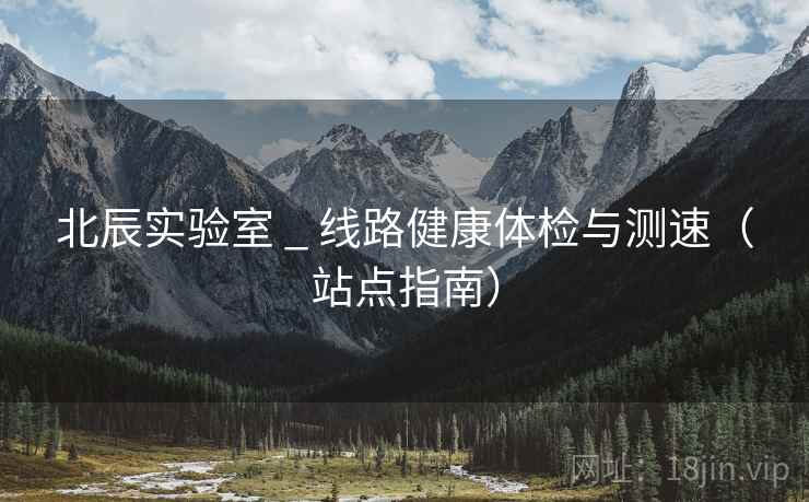 北辰实验室 _ 线路健康体检与测速（站点指南）