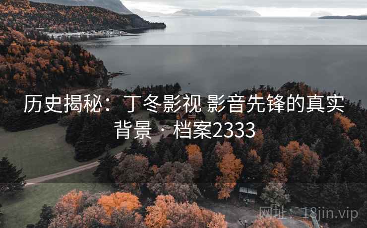 历史揭秘:丁冬影视 影音先锋的真实背景 · 档案2333 历史揭秘:丁冬影视 影音先锋的真实背景 · 档案2333