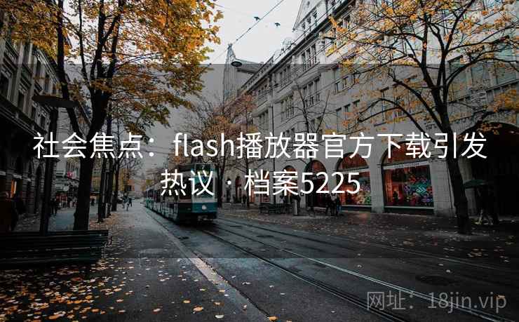 社会焦点：flash播放器官方下载引发热议 · 档案5225