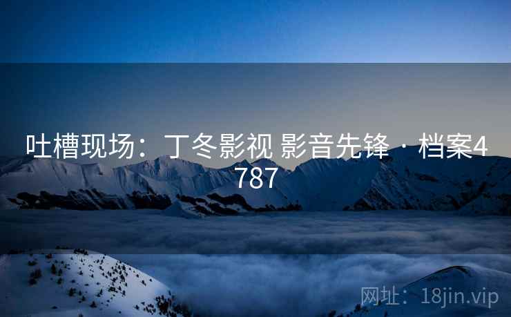 吐槽现场：丁冬影视 影音先锋 · 档案4787